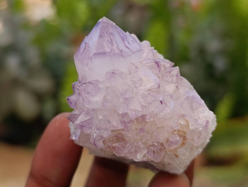 Natural Amethyst Spirit Clusters x 12 From Boekenhouthoek, South Africa