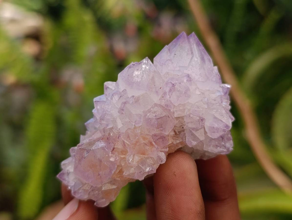 Natural Amethyst Spirit Clusters x 12 From Boekenhouthoek, South Africa