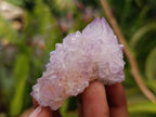 Natural Amethyst Spirit Clusters x 12 From Boekenhouthoek, South Africa