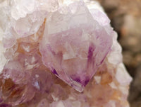 Natural Amethyst Spirit Clusters x 12 From Boekenhouthoek, South Africa