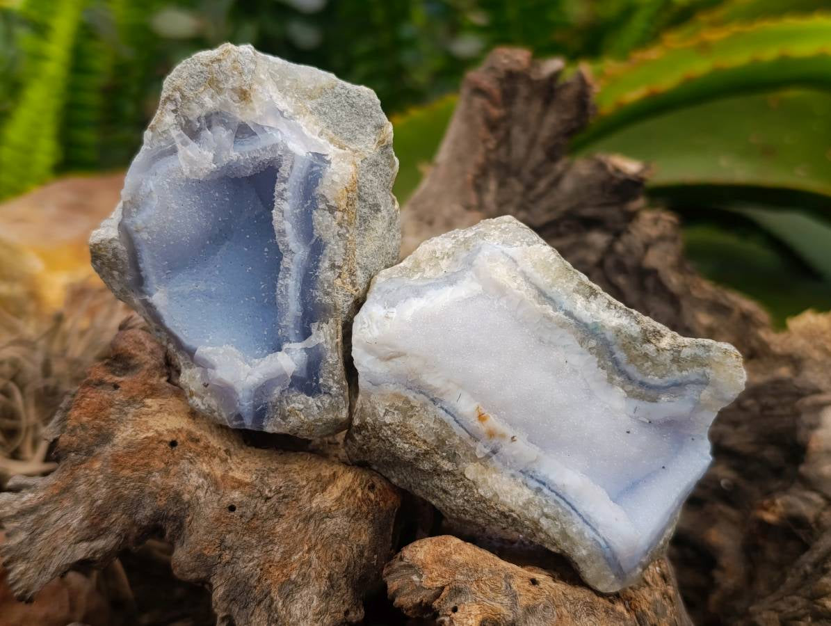 Natural Blue Lace Agate Geode Specimens x 12 From Nsanje, Malawi