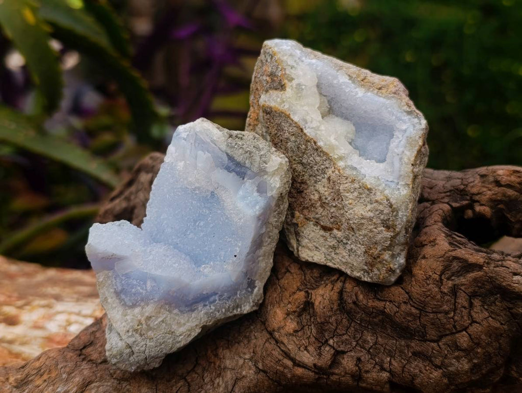 Natural Blue Lace Agate Geode Specimens x 12 From Nsanje, Malawi