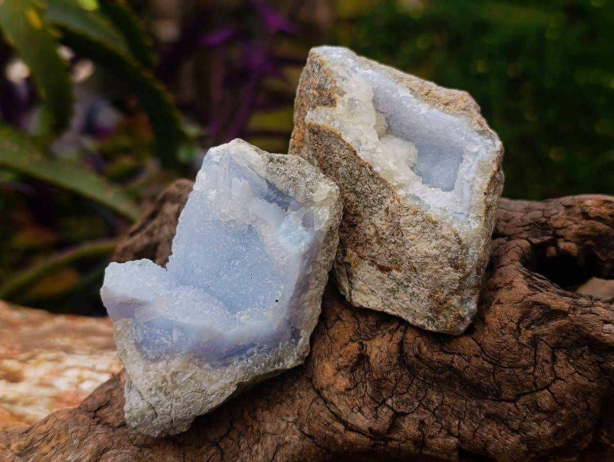 Natural Blue Lace Agate Geode Specimens x 12 From Nsanje, Malawi