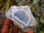 Natural Blue Lace Agate Geode Specimens x 12 From Nsanje, Malawi