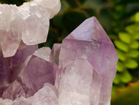 Natural Jacaranda Amethyst Quartz Crystal Clusters x 4 From Mumbwa, Zambia