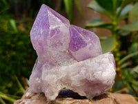 Natural Jacaranda Amethyst Quartz Crystal Clusters x 4 From Mumbwa, Zambia