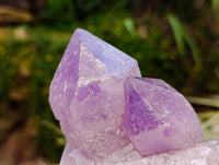 Natural Jacaranda Amethyst Quartz Crystal Clusters x 4 From Mumbwa, Zambia
