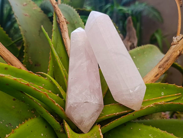 Polished Double Terminated Rose Quartz Crystals x 4 From Madagascar