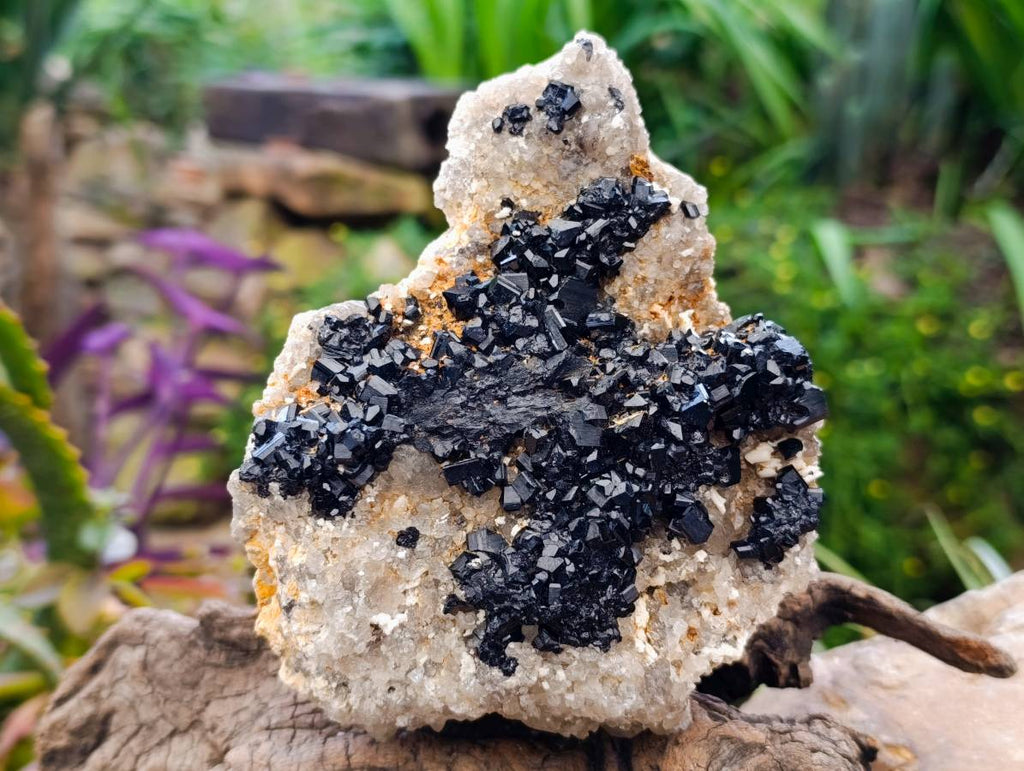Natural Schorl Black Tourmaline with Hyalite Opal and Feldspar x 2 From Erongo, Namibia