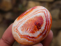 Polished Carnelian Agate Gemstone Galets x 20 From Madagascar