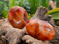 Polished Carnelian Agate Gemstone Galets x 20 From Madagascar