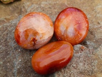 Polished Carnelian Agate Gemstone Galets x 20 From Madagascar