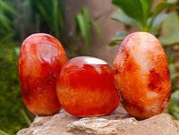 Polished Carnelian Agate Gemstone Galets x 20 From Madagascar