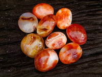 Polished Carnelian Agate Gemstone Galets x 20 From Madagascar