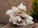 Natural Drusy Quartz Coated Calcite Pseudomorph Specimens x 5 From Alberts Mountain, Lesotho