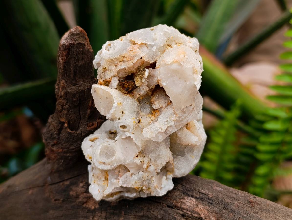 Natural Drusy Quartz Coated Calcite Pseudomorph Specimens x 5 From Alberts Mountain, Lesotho