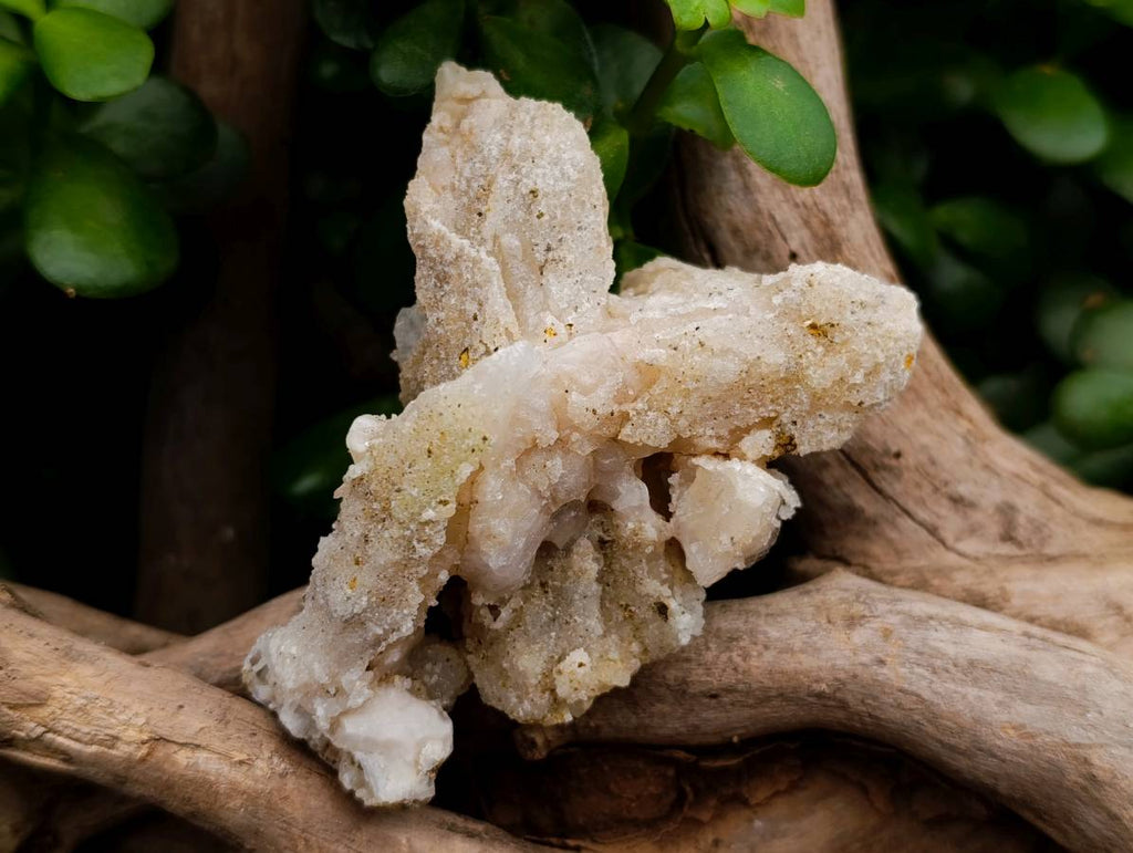 Natural Drusy Quartz Coated Calcite Pseudomorph Specimens x 5 From Alberts Mountain, Lesotho