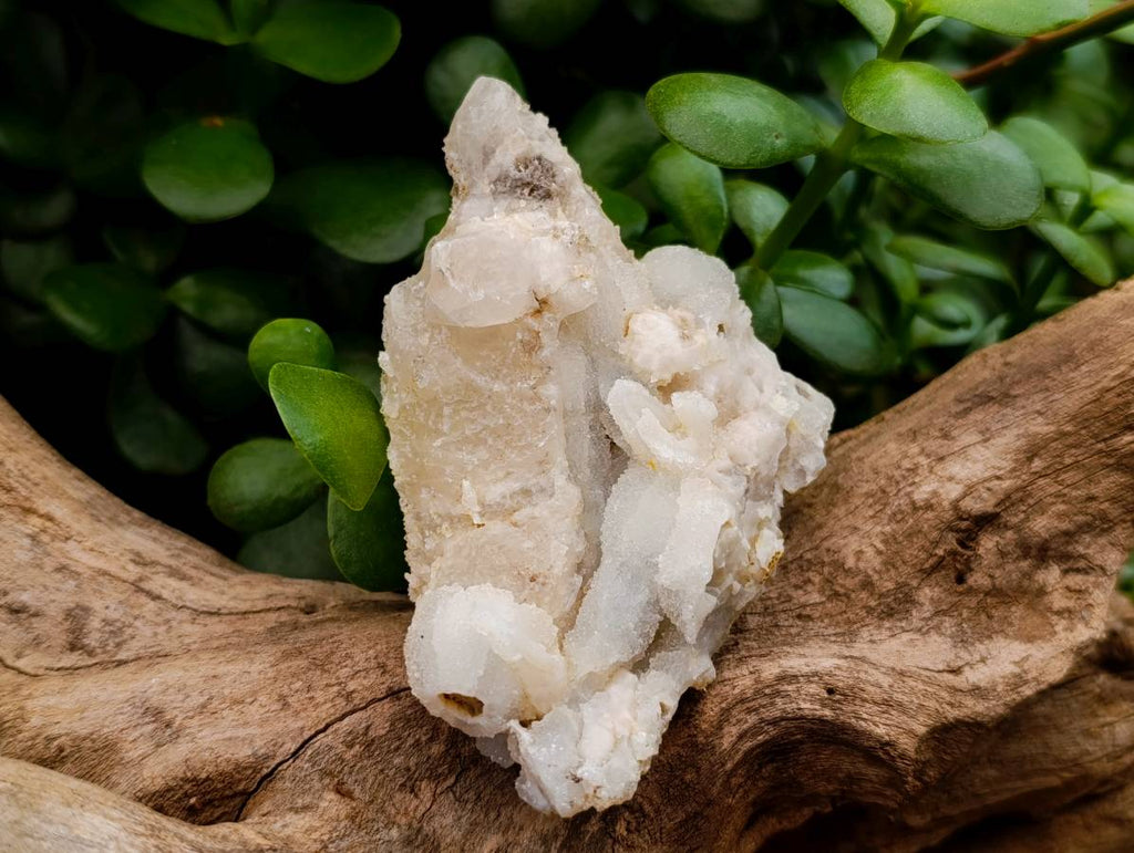 Natural Drusy Quartz Coated Calcite Pseudomorph Specimens x 5 From Alberts Mountain, Lesotho