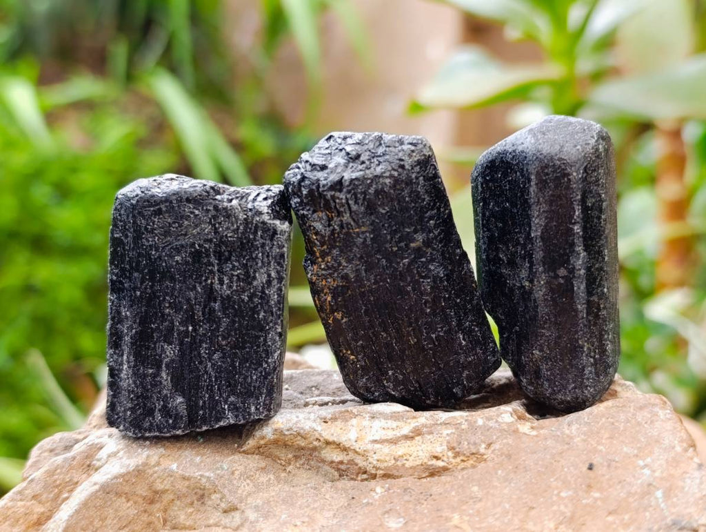 Natural Black Tourmaline Specimens x 20 From Zimbabwe