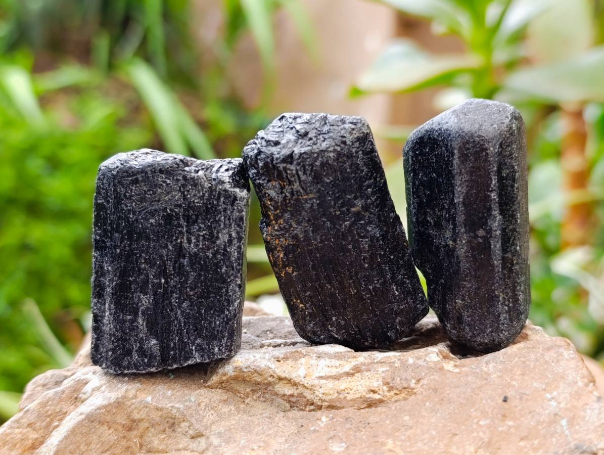 Natural Black Tourmaline Specimens x 20 From Zimbabwe