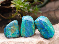Polished Azurite And Banded Malachite Free Forms x 70  From Congo