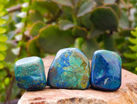 Polished Azurite And Banded Malachite Free Forms x 70  From Congo