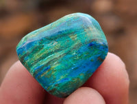 Polished Azurite And Banded Malachite Free Forms x 70  From Congo