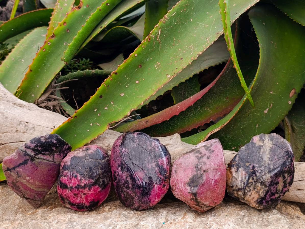 Polished On One Side Rhodonite Nodules x 5 From Ambindavato, Madagascar