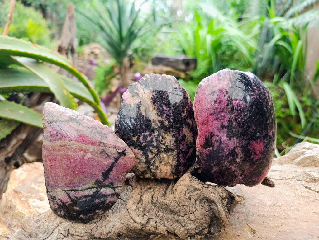 Polished On One Side Rhodonite Nodules x 5 From Ambindavato, Madagascar