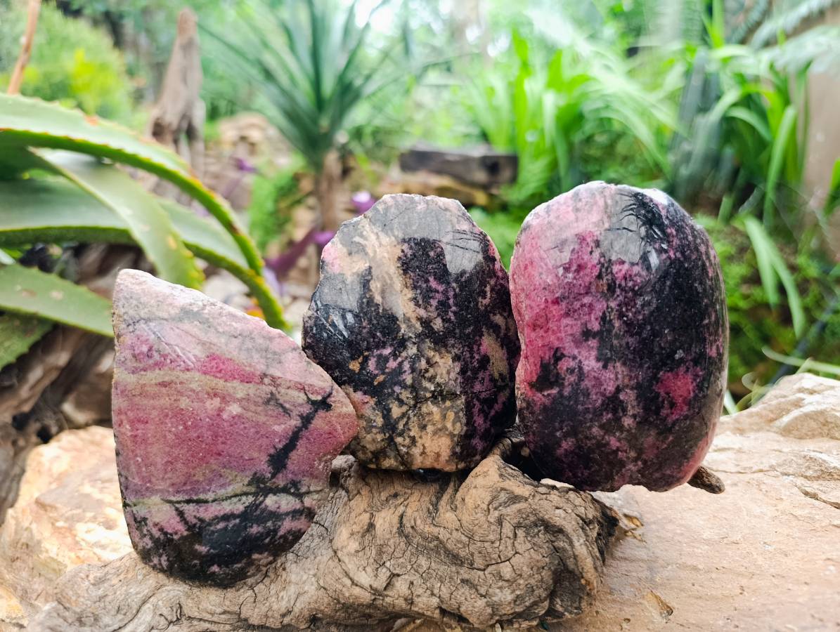 Polished On One Side Rhodonite Nodules x 5 From Ambindavato, Madagascar