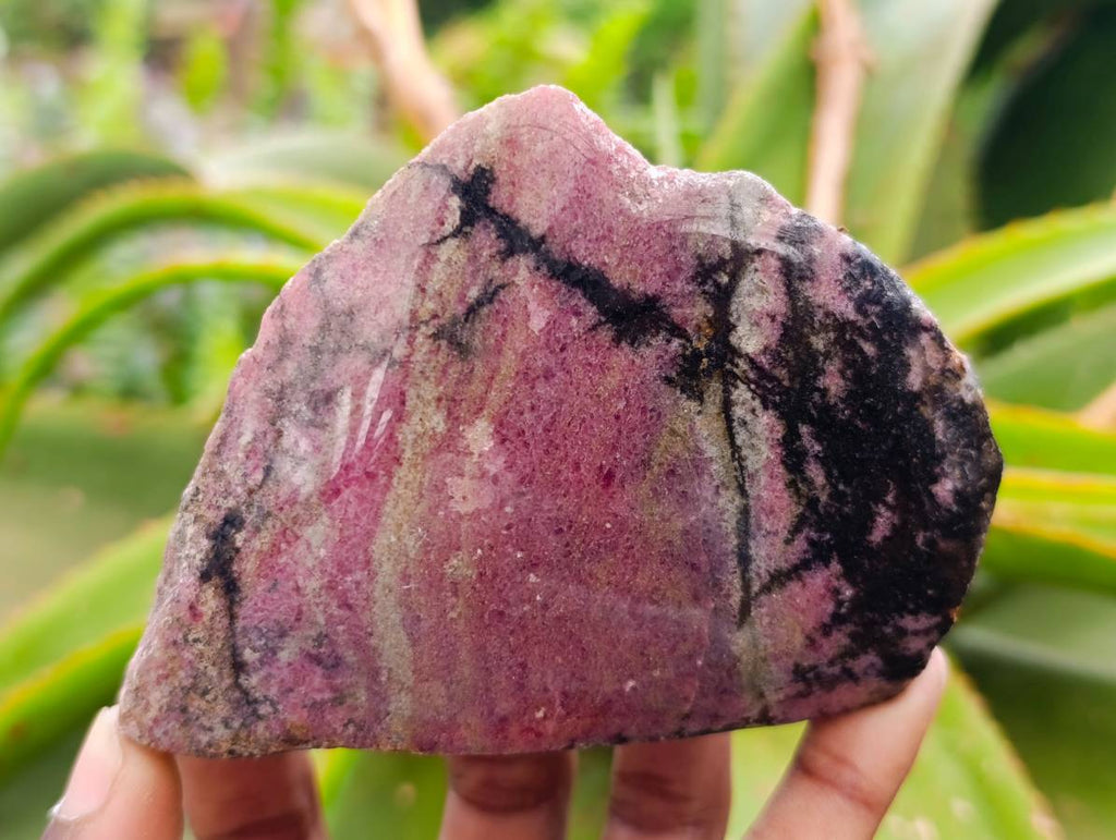 Polished On One Side Rhodonite Nodules x 5 From Ambindavato, Madagascar