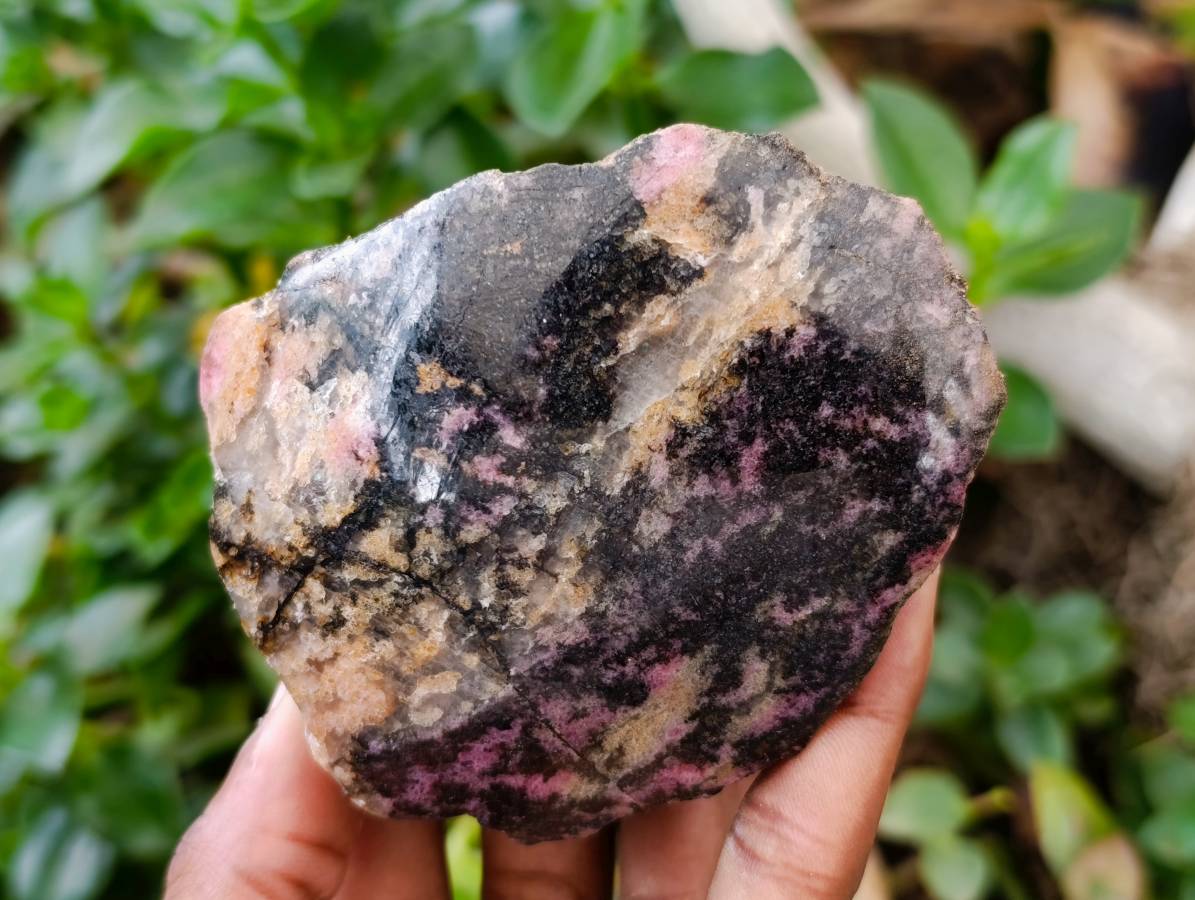 Polished On One Side Rhodonite Nodules x 5 From Ambindavato, Madagascar
