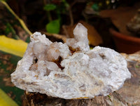 Natural White Smokey And Limonite Fairy Spirit Quartz Clusters x 5 From Boekenhouthoek, South Africa