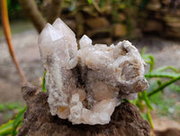 Natural White Smokey And Limonite Fairy Spirit Quartz Clusters x 5 From Boekenhouthoek, South Africa