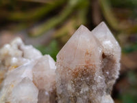 Natural White Smokey And Limonite Fairy Spirit Quartz Clusters x 5 From Boekenhouthoek, South Africa