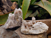 Natural White Smokey And Limonite Fairy Spirit Quartz Clusters x 5 From Boekenhouthoek, South Africa