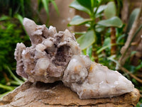 Natural White Smokey And Limonite Fairy Spirit Quartz Clusters x 5 From Boekenhouthoek, South Africa