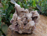 Natural White Smokey And Limonite Fairy Spirit Quartz Clusters x 5 From Boekenhouthoek, South Africa