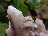 Natural White Smokey And Limonite Fairy Spirit Quartz Clusters x 5 From Boekenhouthoek, South Africa