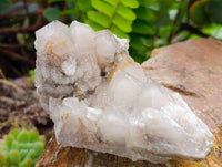 Natural White Smokey And Limonite Fairy Spirit Quartz Clusters x 5 From Boekenhouthoek, South Africa