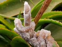 Natural White Smokey And Limonite Fairy Spirit Quartz Clusters x 5 From Boekenhouthoek, South Africa