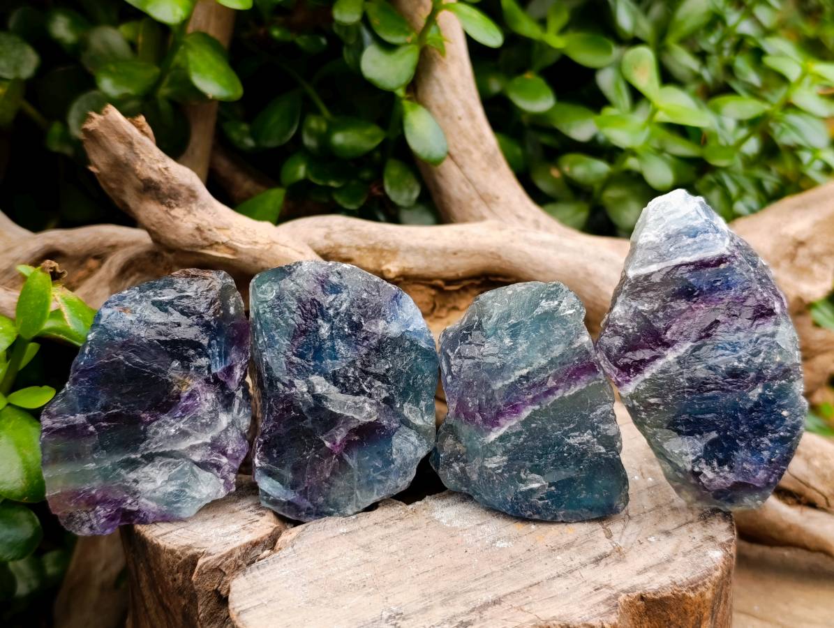 Natural Watermelon Fluorite Cobbed Specimens x 24 From Uis, Namibia