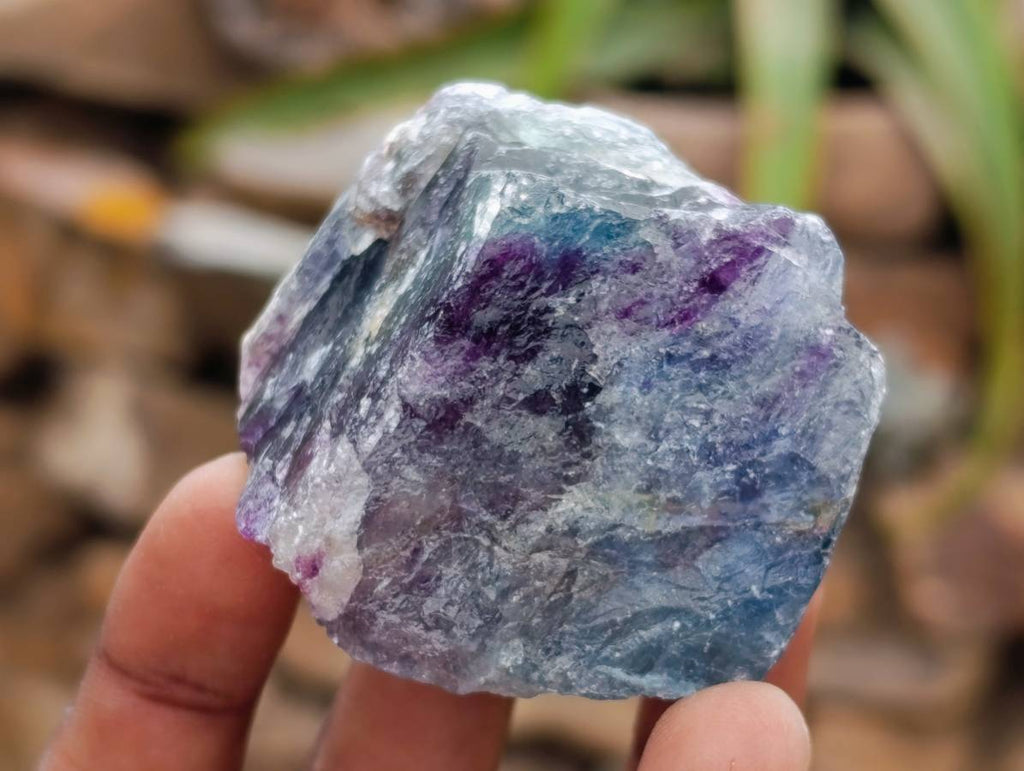 Natural Watermelon Fluorite Cobbed Specimens x 24 From Uis, Namibia
