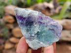 Natural Watermelon Fluorite Cobbed Specimens x 24 From Uis, Namibia