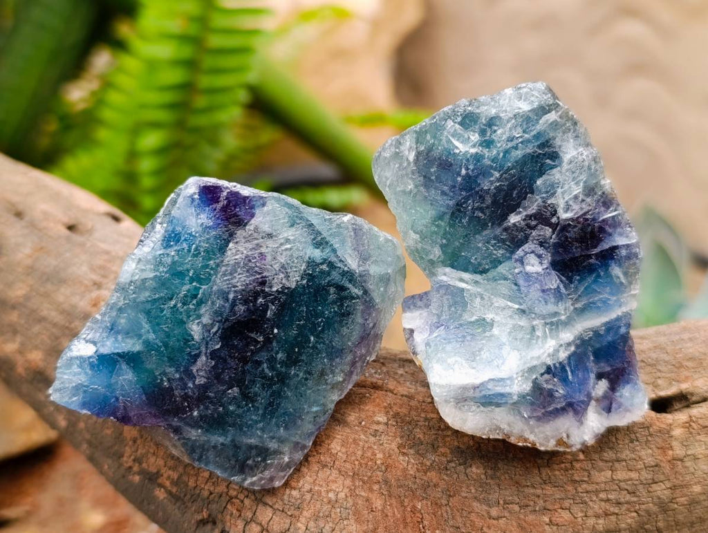 Natural Watermelon Fluorite Cobbed Specimens x 24 From Uis, Namibia