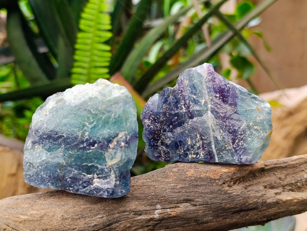 Natural Watermelon Fluorite Cobbed Specimens x 24 From Uis, Namibia