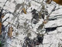 Natural Lead Galena Cobbed Specimens x 12 From Kaokoveld, Namibia