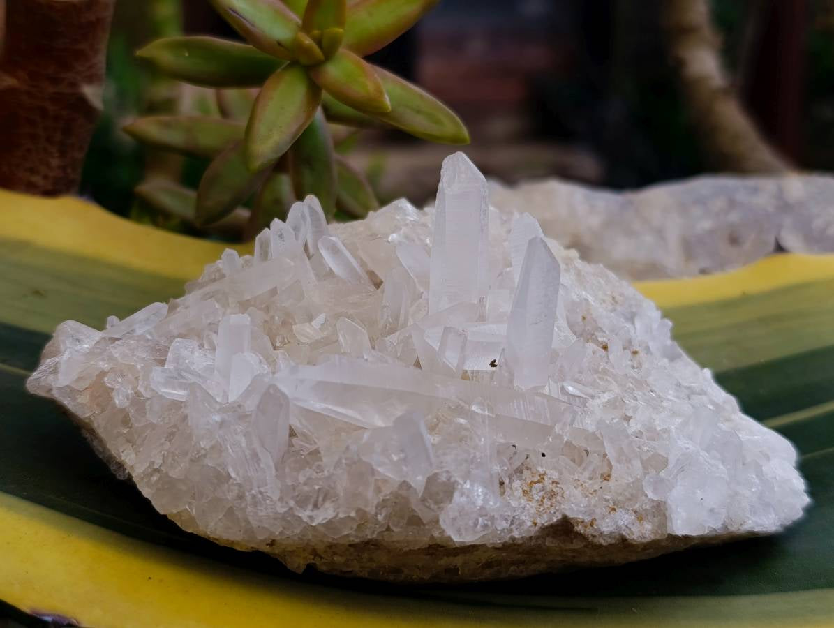 Natural Mixed Quartz Crystal Clusters x 4 From Madagascar
