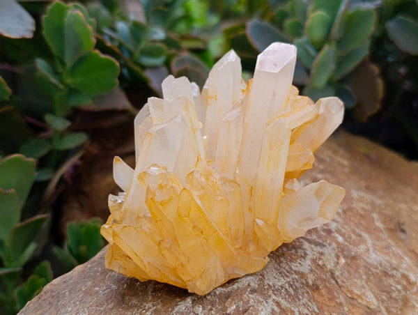 Natural Mixed Quartz Crystal Clusters x 4 From Madagascar