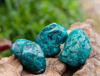 Polished Dioptase Free Forms x 35 From Likasi, Congo
